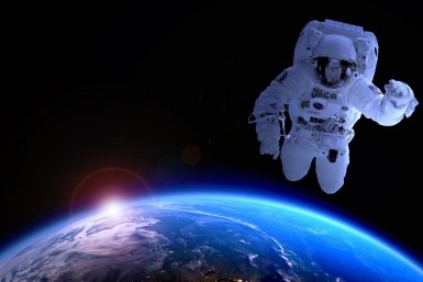 Тематическая иллюстрация https://pxhere.com/