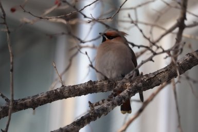 Тематическое фото ИА PrimaMedia