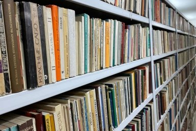 Тематическое фото ИА KamchatkaMedia