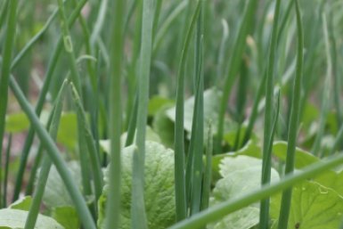 Тематическое фото Анна Маринец, ИА UssurMedia.ru