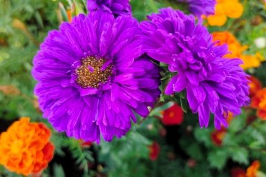 Тематическое фото Автора