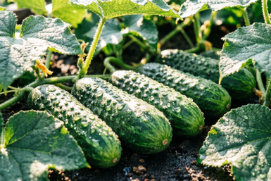 Тематическое фото Создано при помощи ИИ