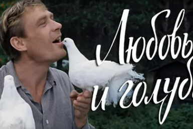 Тематическое фото кадр из фильма &quotЛюбовь и голуби&quot (12+), 1984 год