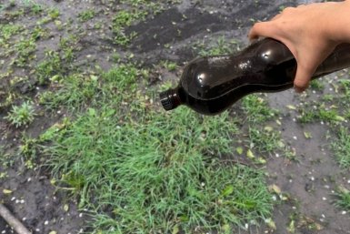 Смешайте это в пропорции 1:5 - и сорняки выгорят сами: чистые грядки без прополки до самой осени ИА SakhalinMedia