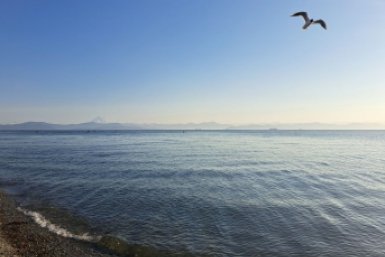 Циклоны не потревожат Камчатку в грядущие выходные