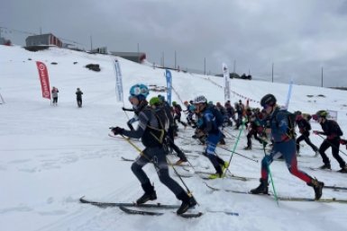 Новость дня