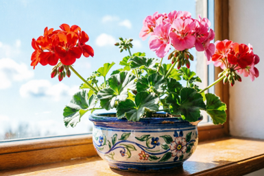 Тематическое фото Создано при помощи ИИ