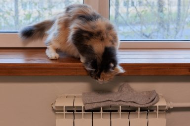 Батареи пекут, а за окном +20: пошаговая инструкция, как вернуть деньги