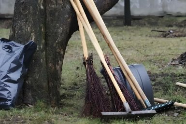 Всероссийский субботник пройдёт на Камчатке 25 апреля