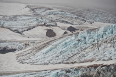 Новость дня