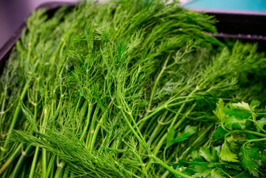 Попробовала этот способ с банкой — и петрушка и укроп пролежали 3 недели, как свежие