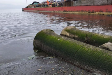 Слив загрязненных вод в водоём ИА KamchatkaMedia