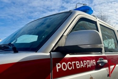 Тематическое фото пресс-служба Управления Росгвардии по Магаданской области