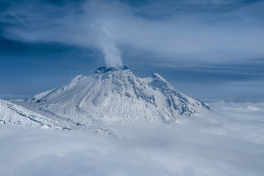 Новость дня