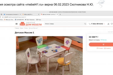 Камчатский мебельный магазин заплатит более 100 тыс. рублей за изображения "Смешариков"