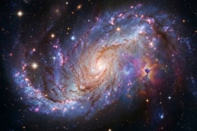 Вы личный штурман Илона Маска, если сможете без запинки пройти этот лютый космический тест