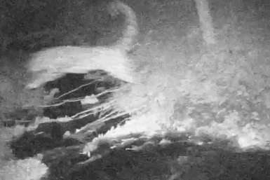 Скриншот видео Пресс-служба национального парка &quotЗемля леопарда&quot