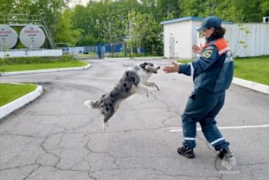 Новость дня