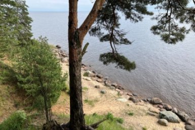 Чудское озеро снова в центре конфликта: теперь между Эстонией и Россией