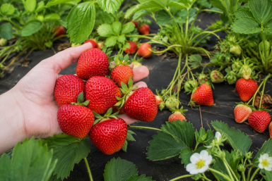 Тематическое фото Сгенерировано ИИ