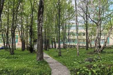Сквер у краевой библиотеки Пресс-служба ПКГО