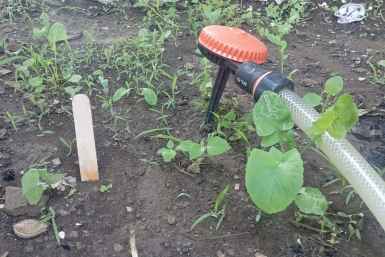 Тематическое фото ИА KrasnodarMedia