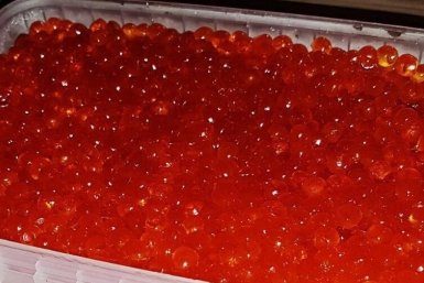На Камчатке вскрыли масштабную схему с немаркированной рыбопродукцией