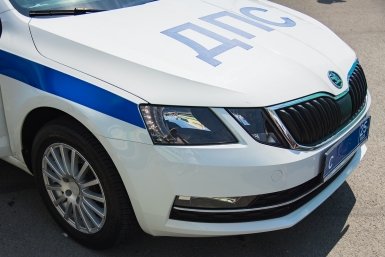 Жительница Камчатки напала на полицейских