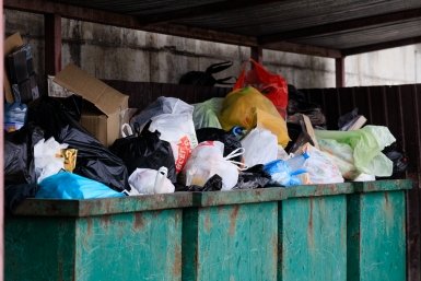 Мать выбросила новорожденную в мусорный контейнер в Петропавловске‑Камчатском