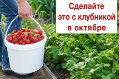 Тематическое фото Создано при помощи ИИ