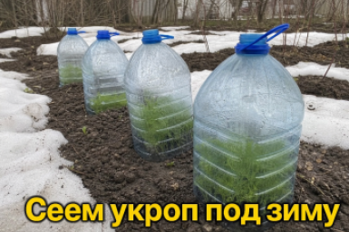 Тематическое изображение Сгенерировано ИИ
