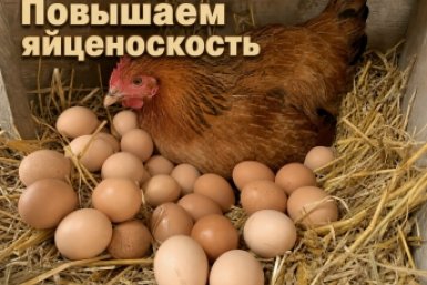 Тематическое фото Создано при помощи ИИ