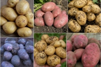 Тематическое фото Создано при помощи ИИ