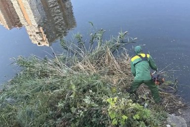 В Краснодаре расчистили берега Карасунских и Покровских озер