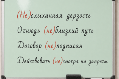 Считаете себя абсолютно грамотным? Проверьте свои силы на четырех простых фразах с "НЕ"
