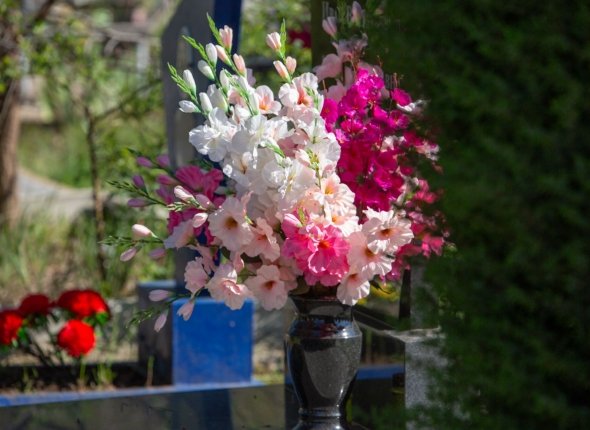 Новость дня