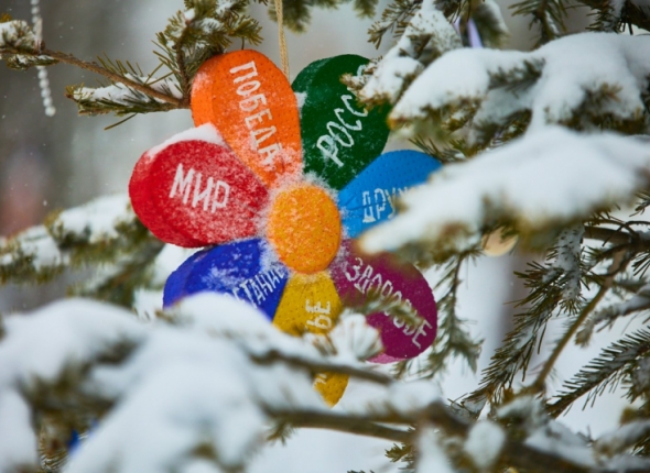 Новость дня