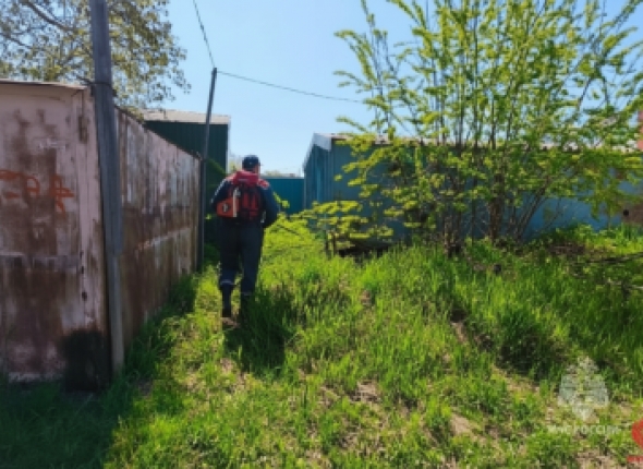 Новость дня