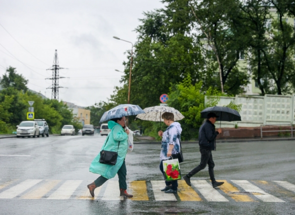 Новость дня