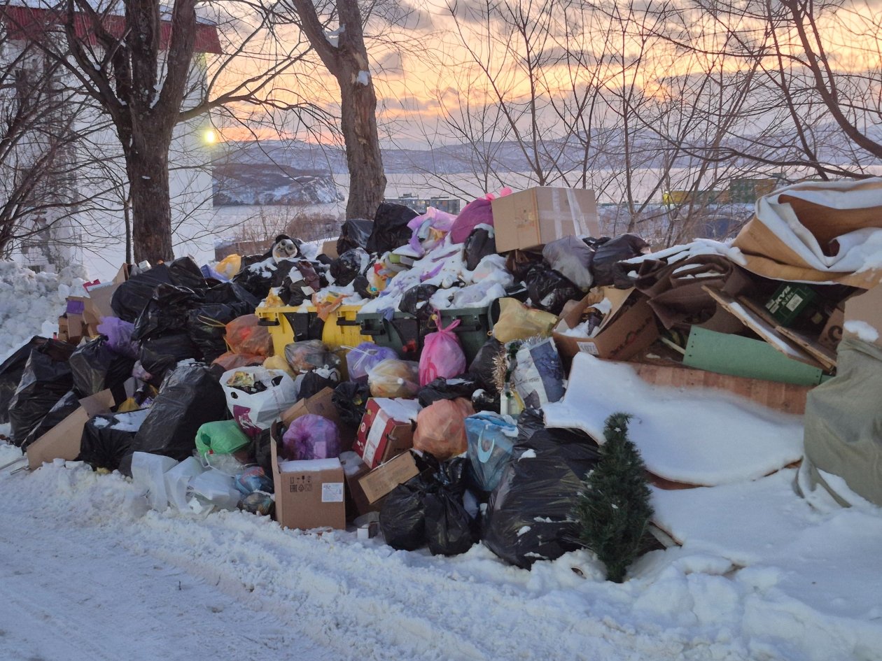 Архивное фото Анна Биланич, ИА KamchatkaMedia