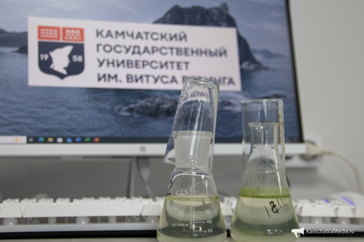 Ирина Васильева, ИА KamchatkaMedia