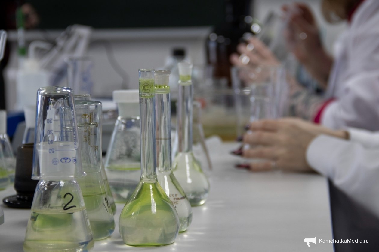 Ирина Васильева, ИА KamchatkaMedia