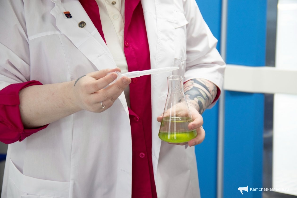 Ирина Васильева, ИА KamchatkaMedia