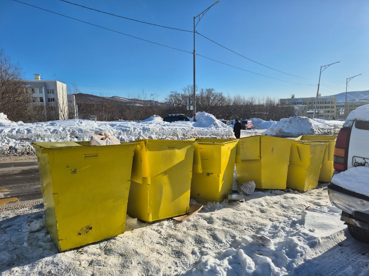 Мусорные контейнеры Анна Биланич, ИА KamchatkaMedia