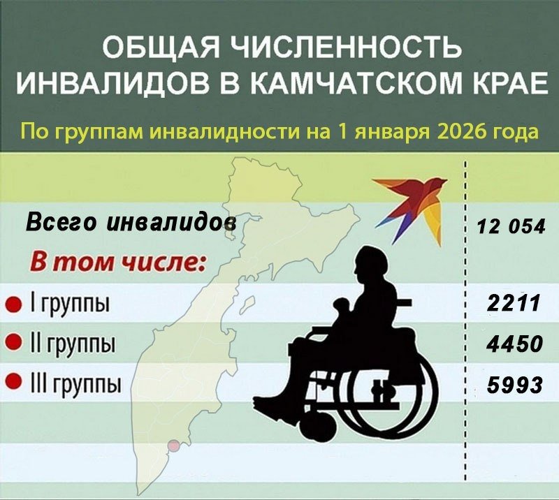 На Камчатке перед выборами посчитали избирателей с инвалидностью Избирательная комиссия Камчатского края