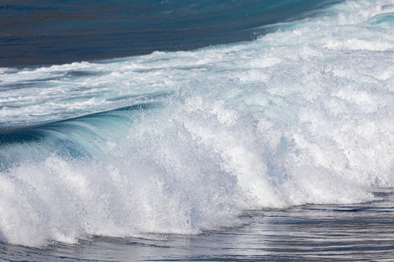 Море Илья Аверьянов, ИА PrimaMedia.ru