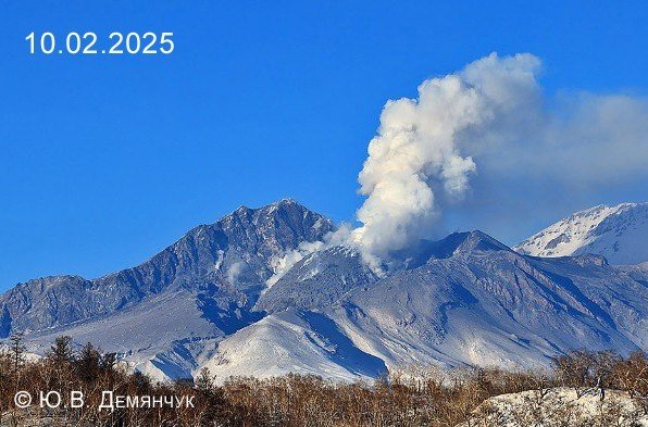 Шивелуч. Архивное фото. Февраль 2025 года Ю. Демянчук. ИВиС ДВО РАН