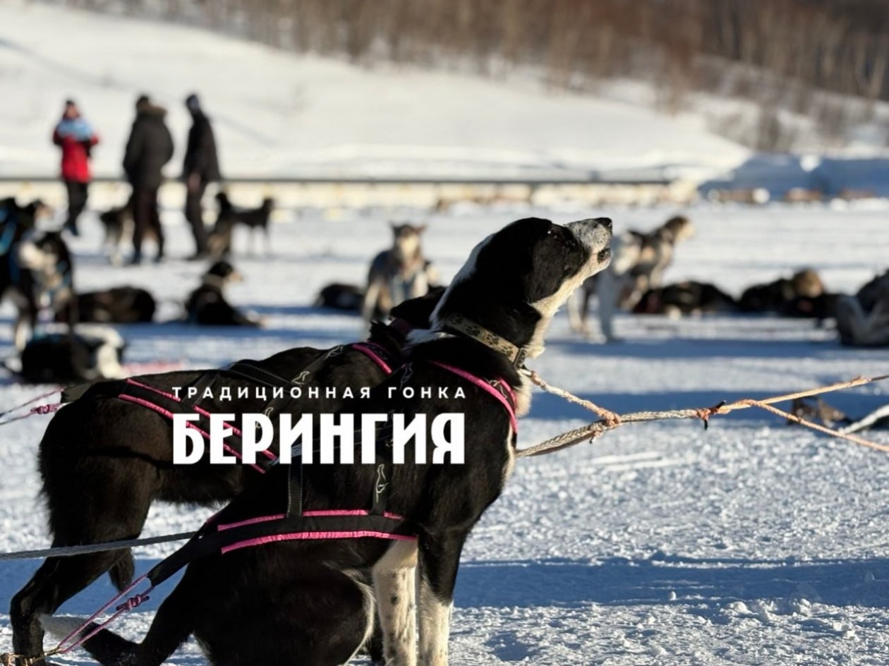 Организаторы гонки