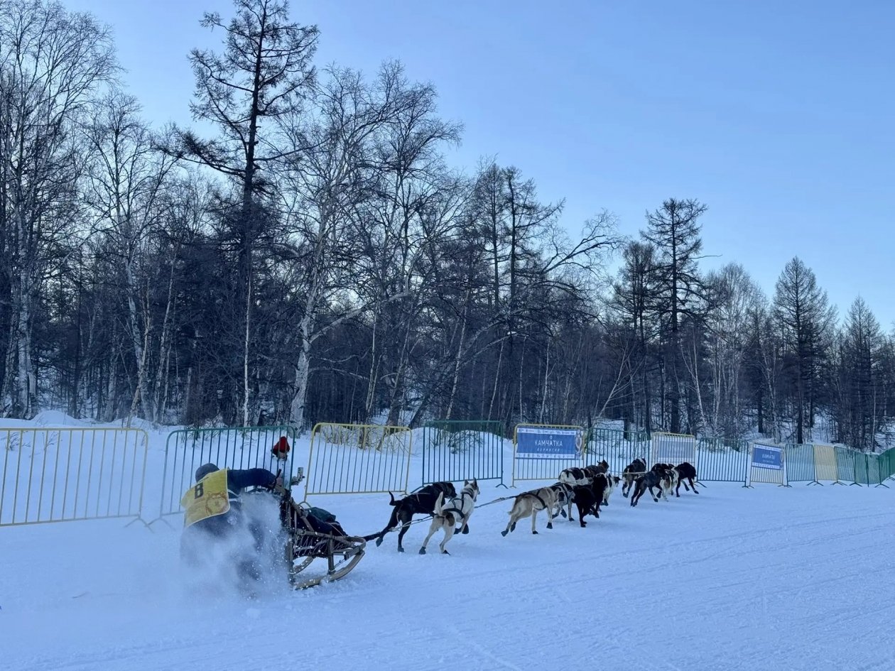 &quotБерингия&quot-2026  в пути Оргкомитет гонки