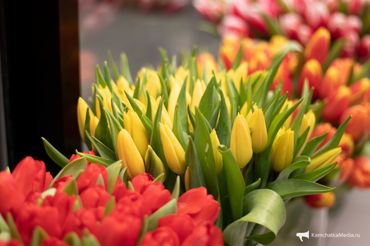 Ирина Васильева, ИА KamchatkaMedia